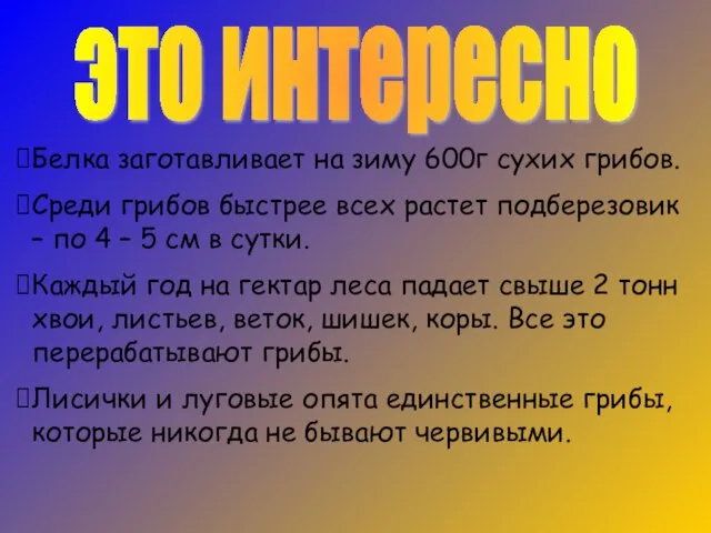 это интересно Белка заготавливает на зиму 600г сухих грибов. Среди грибов быстрее