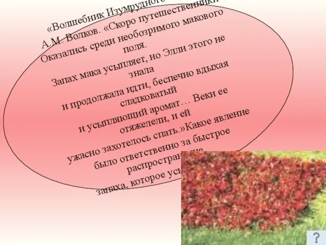 «Волшебник Изумрудного города» А.М. Волков. «Скоро путешественники Оказались среди необозримого макового поля.