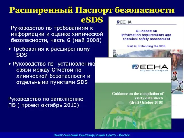 Расширенный Паспорт безопасности eSDS Руководство по требованиям к информации и оценке химической