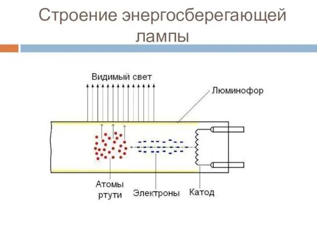 Строение энергосберегающей лампы