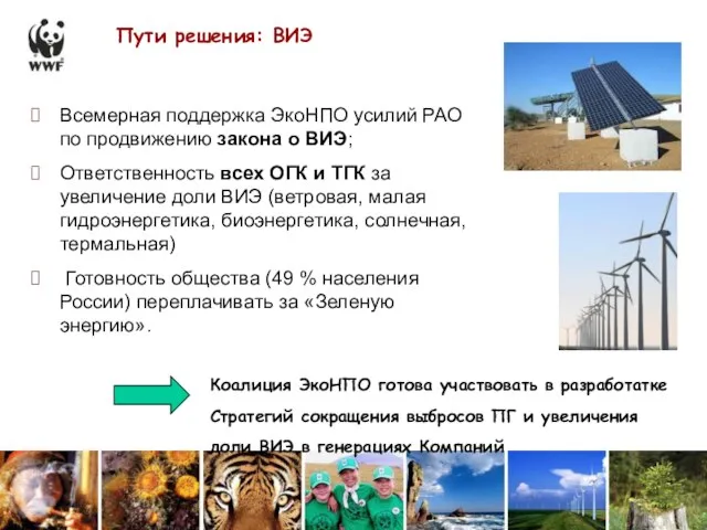 Пути решения: ВИЭ Всемерная поддержка ЭкоНПО усилий РАО по продвижению закона о