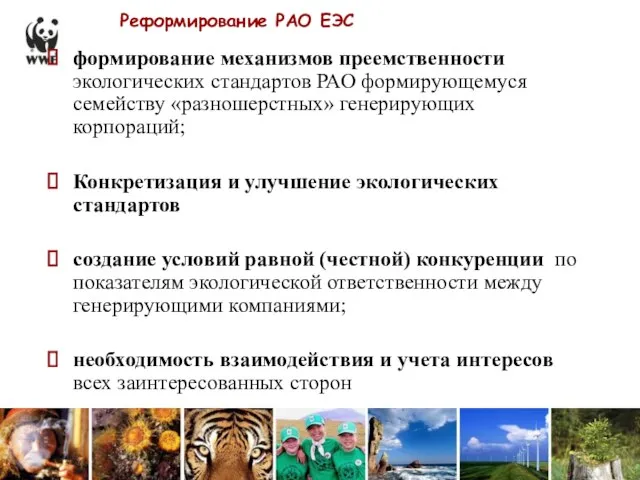 Реформирование РАО ЕЭС формирование механизмов преемственности экологических стандартов РАО формирующемуся семейству «разношерстных»