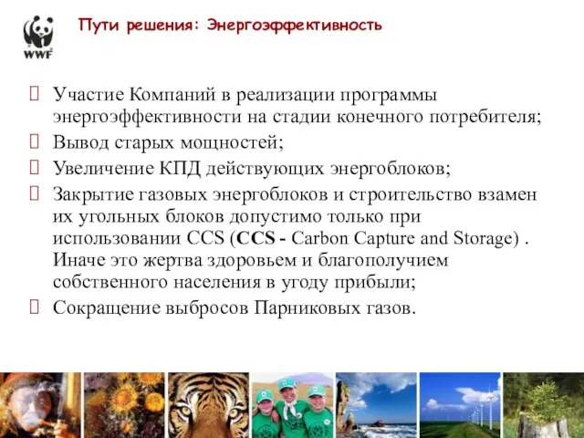 Пути решения: Энергоэффективность Участие Компаний в реализации программы энергоэффективности на стадии конечного