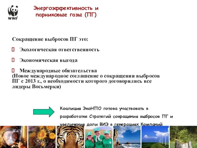 Энергоэффективность и парниковые газы (ПГ) Коалиция ЭкоНПО готова участвовать в разработатке Стратегий