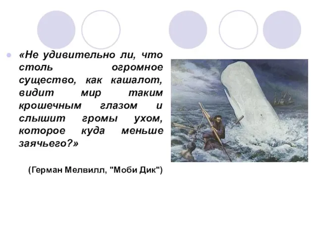 «Не удивительно ли, что столь огромное существо, как кашалот, видит мир таким