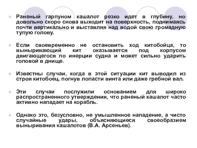 Раненый гарпуном кашалот резко идет в глубину, но довольно скоро снова выходит