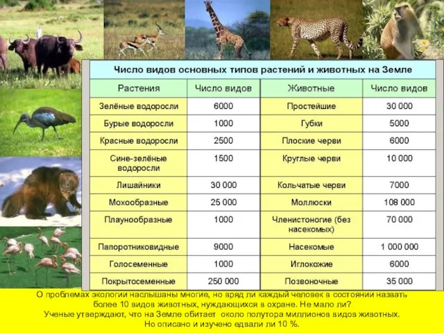 О проблемах экологии наслышаны многие, но вряд ли каждый человек в состоянии