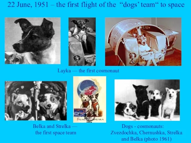 22 June, 1951 – the first flight of the “dogs’ team“ to