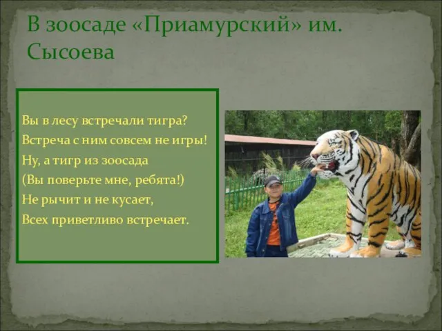 В зоосаде «Приамурский» им.Сысоева Вы в лесу встречали тигра? Встреча с ним
