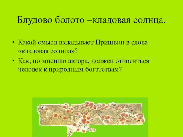 Блудово болото –кладовая солнца. Какой смысл вкладывает Пришвин в слова «кладовая солнца»?