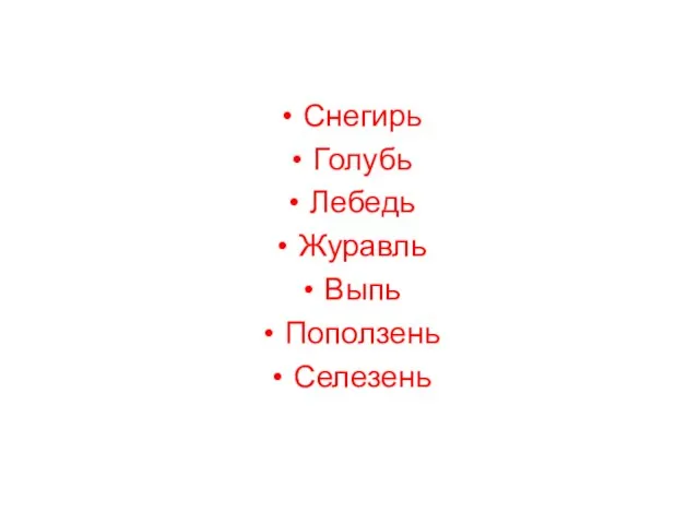 Снегирь Голубь Лебедь Журавль Выпь Поползень Селезень