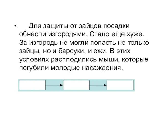 Для защиты от зайцев посадки обнесли изгородями. Стало еще хуже. За изгородь