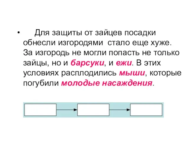 Для защиты от зайцев посадки обнесли изгородями стало еще хуже. За изгородь