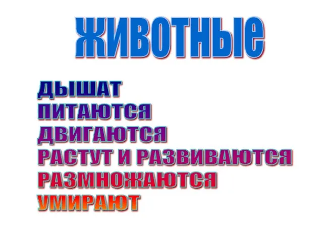 животные ДЫШАТ ПИТАЮТСЯ ДВИГАЮТСЯ РАСТУТ И РАЗВИВАЮТСЯ РАЗМНОЖАЮТСЯ УМИРАЮТ