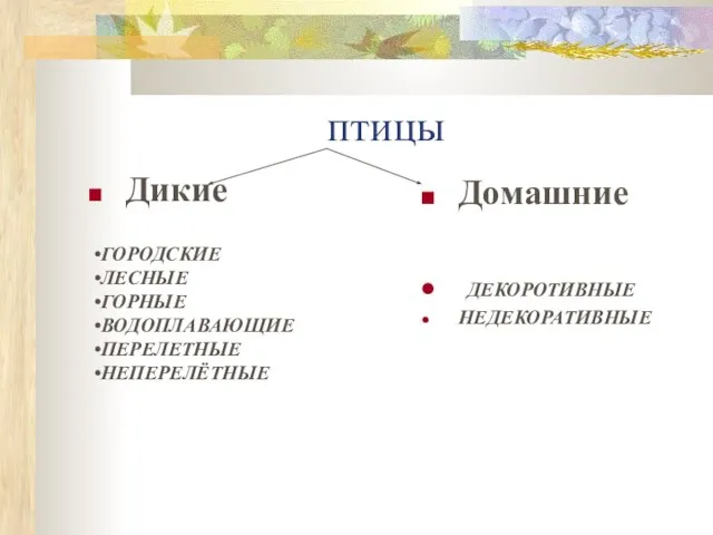 птицы Дикие Домашние ДЕКОРОТИВНЫЕ НЕДЕКОРАТИВНЫЕ ГОРОДСКИЕ ЛЕСНЫЕ ГОРНЫЕ ВОДОПЛАВАЮЩИЕ ПЕРЕЛЕТНЫЕ НЕПЕРЕЛЁТНЫЕ