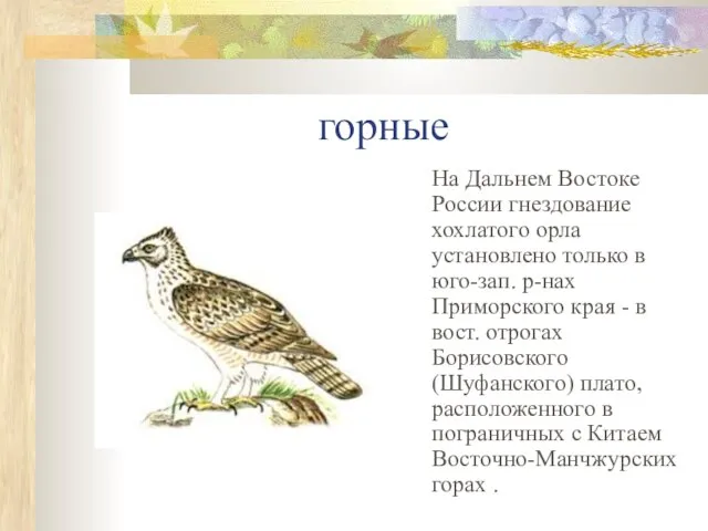 горные На Дальнем Востоке России гнездование хохлатого орла установлено только в юго-зап.