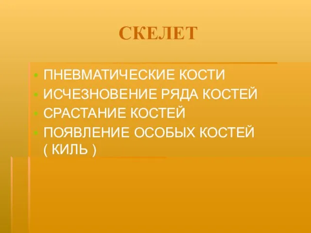 СКЕЛЕТ ПНЕВМАТИЧЕСКИЕ КОСТИ ИСЧЕЗНОВЕНИЕ РЯДА КОСТЕЙ СРАСТАНИЕ КОСТЕЙ ПОЯВЛЕНИЕ ОСОБЫХ КОСТЕЙ ( КИЛЬ )