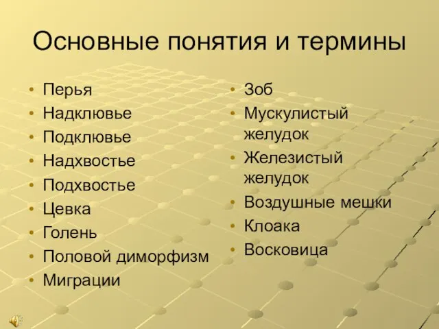 Основные понятия и термины Перья Надклювье Подклювье Надхвостье Подхвостье Цевка Голень Половой