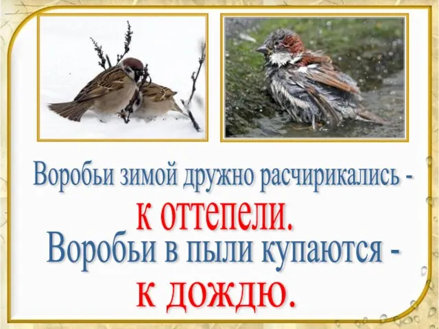 Воробьи зимой дружно расчирикались - к дождю. к оттепели. Воробьи в пыли купаются -