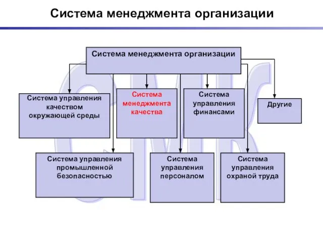 Система менеджмента организации