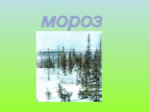 мороз