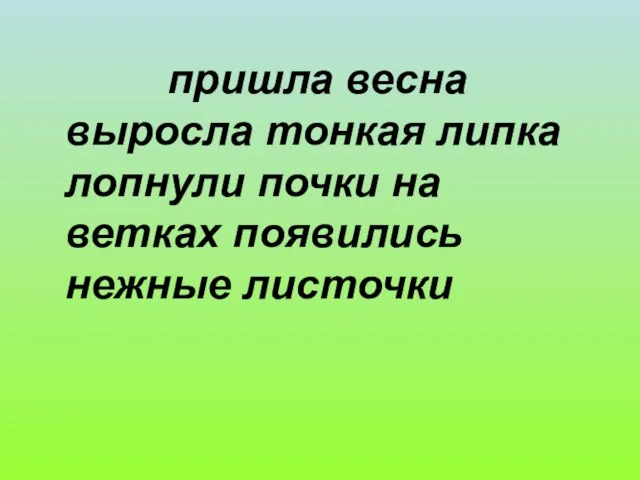 пришла весна выросла тонкая липка лопнули почки на ветках появились нежные листочки