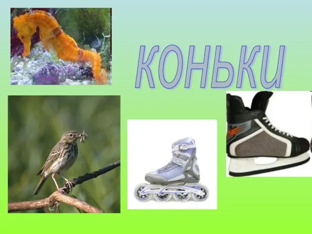 коньки