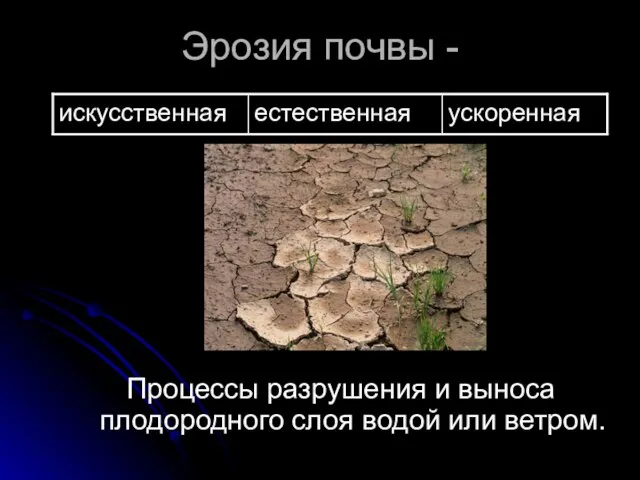 Эрозия почвы - Процессы разрушения и выноса плодородного слоя водой или ветром.