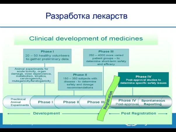 Разработка лекарств