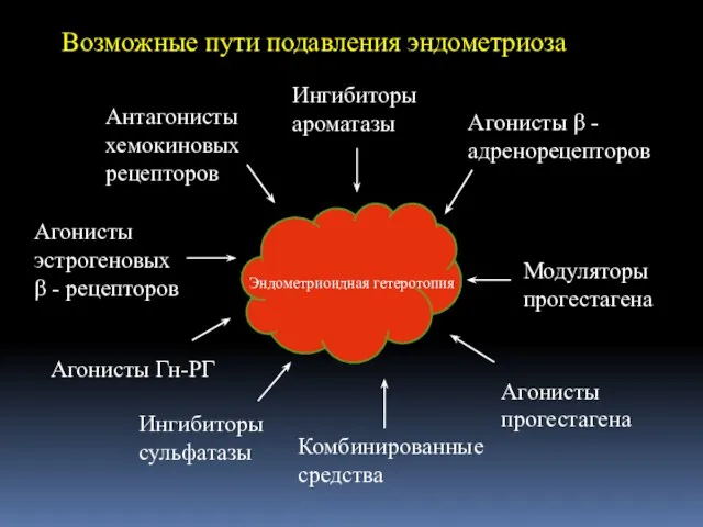 Возможные пути подавления эндометриоза Эндометриоидная гетеротопия Ингибиторы ароматазы Агонисты β - адренорецепторов