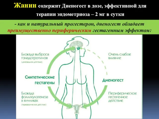 Д.м.н. Марченко Л.А. Жанин содержит Диеногест в дозе, эффективной для терапии эндометриоза