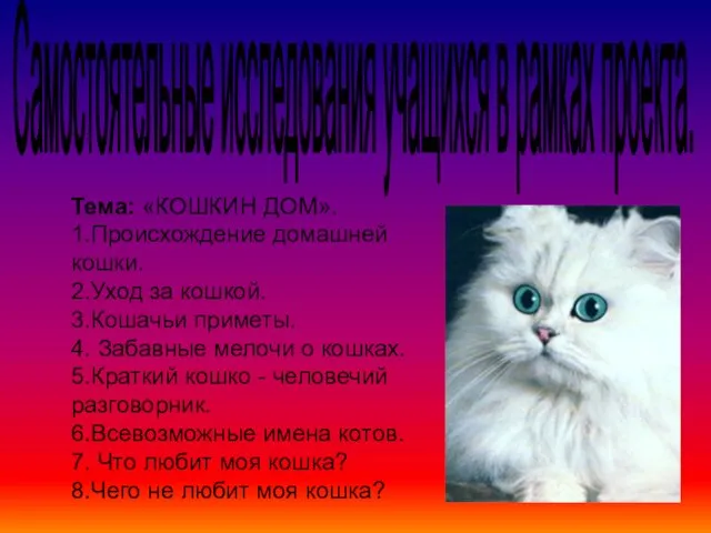 Самостоятельные исследования учащихся в рамках проекта. Тема: «КОШКИН ДОМ». 1.Происхождение домашней кошки.