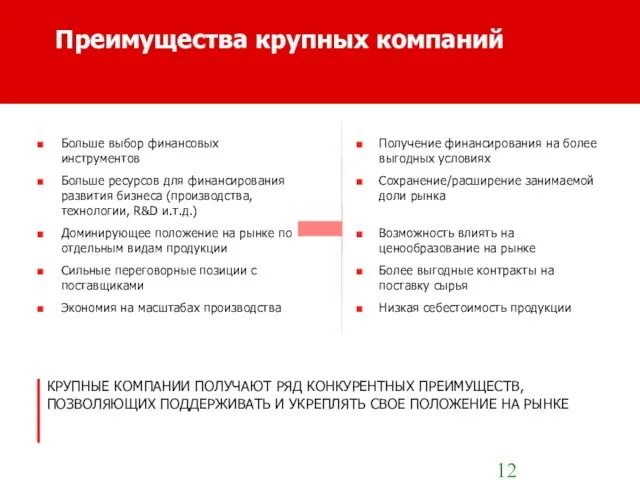 Преимущества крупных компаний Больше выбор финансовых инструментов Больше ресурсов для финансирования развития