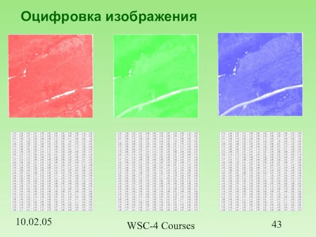 10.02.05 WSC-4 Courses Оцифровка изображения