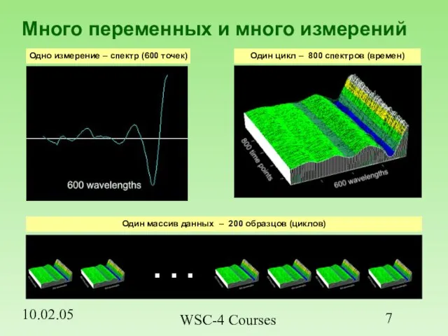 10.02.05 WSC-4 Courses Много переменных и много измерений Одно измерение – спектр (600 точек)