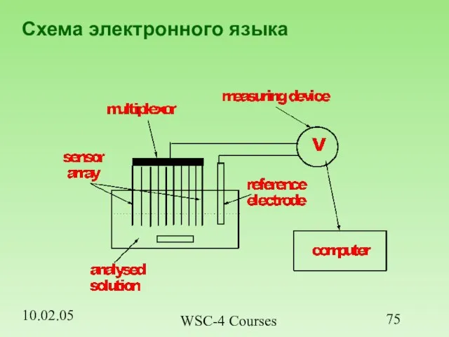 10.02.05 WSC-4 Courses Схема электронного языка