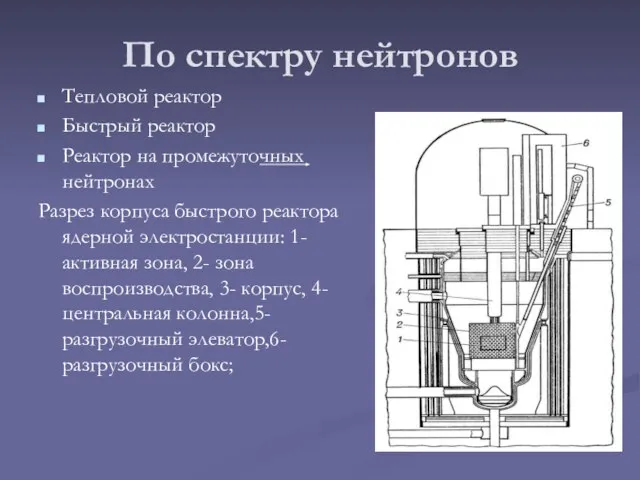 По спектру нейтронов Тепловой реактор Быстрый реактор Реактор на промежуточных нейтронах Разрез