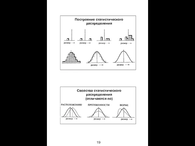 19 Построение статистического распределения Свойства статистического распределения (отличаются по)