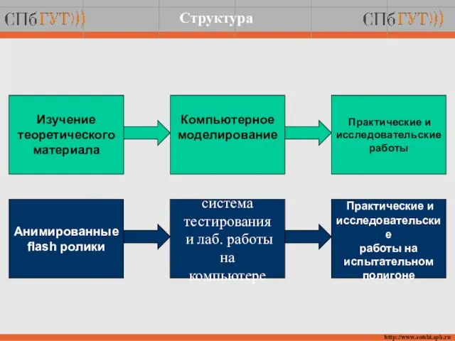 Структура http://www.sotsbi.spb.ru Анимированные flash ролики система тестирования и лаб. работы на компьютере