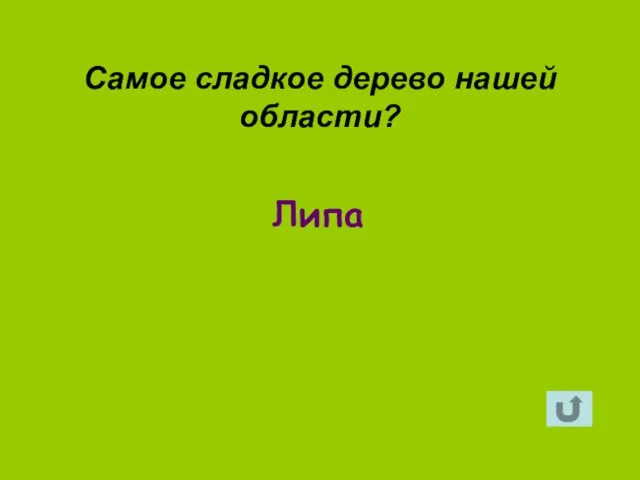 Липа Самое сладкое дерево нашей области?