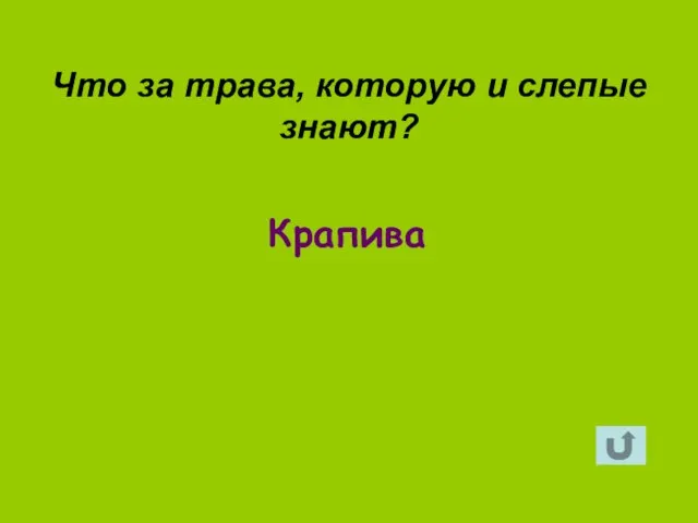 Крапива Что за трава, которую и слепые знают?