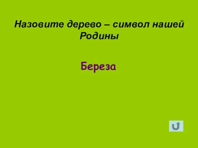 Береза Назовите дерево – символ нашей Родины