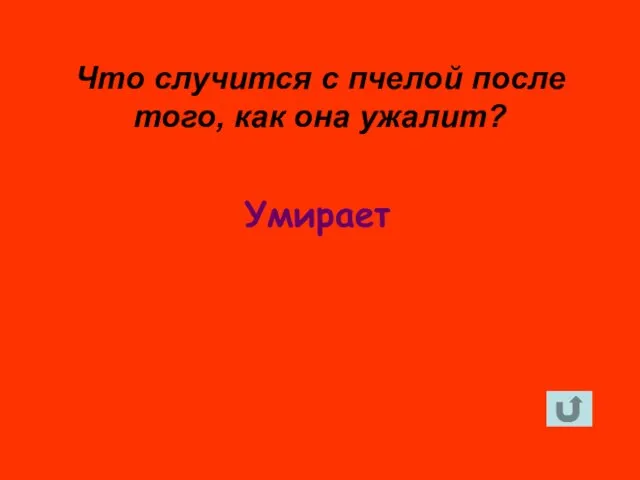 Умирает Что случится с пчелой после того, как она ужалит?