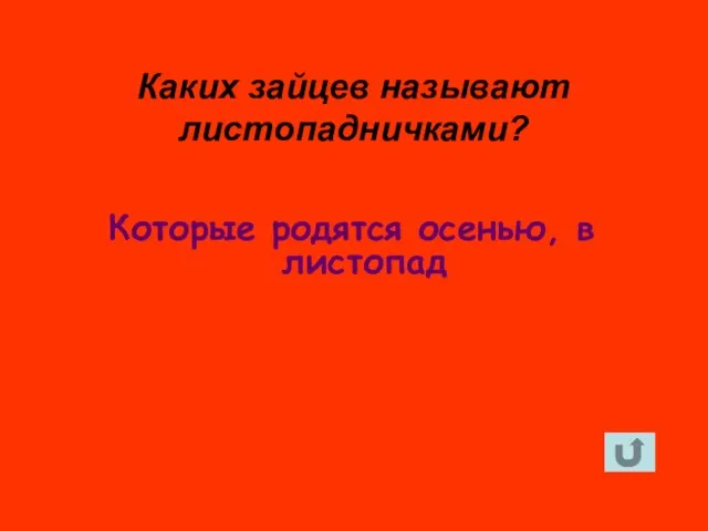 Которые родятся осенью, в листопад Каких зайцев называют листопадничками?