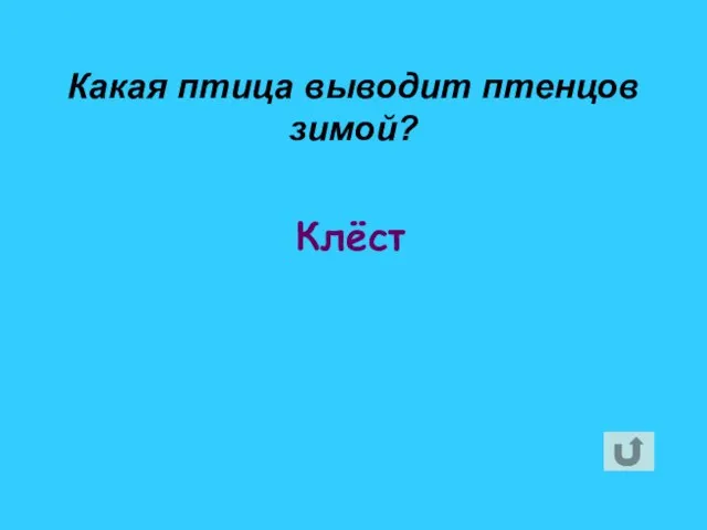 Клёст Какая птица выводит птенцов зимой?