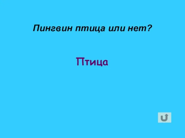 Птица Пингвин птица или нет?