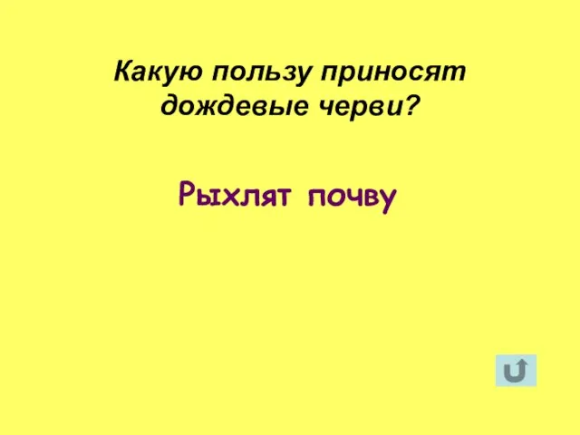 Рыхлят почву Какую пользу приносят дождевые черви?