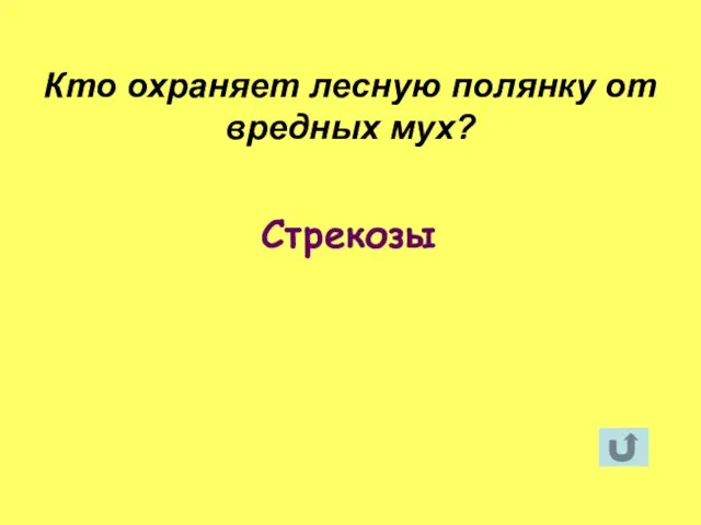 Стрекозы Кто охраняет лесную полянку от вредных мух?