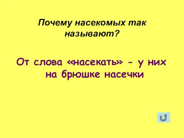 От слова «насекать» - у них на брюшке насечки Почему насекомых так называют?