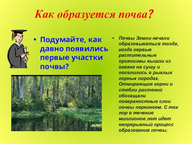 Как образуется почва? Подумайте, как давно появились первые участки почвы? Почвы Земли